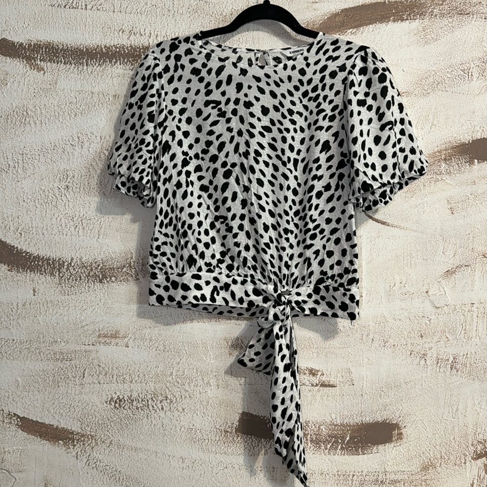 Dalmatian Short Sleeve Blouse